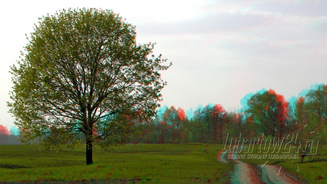 łąkowa dróżka