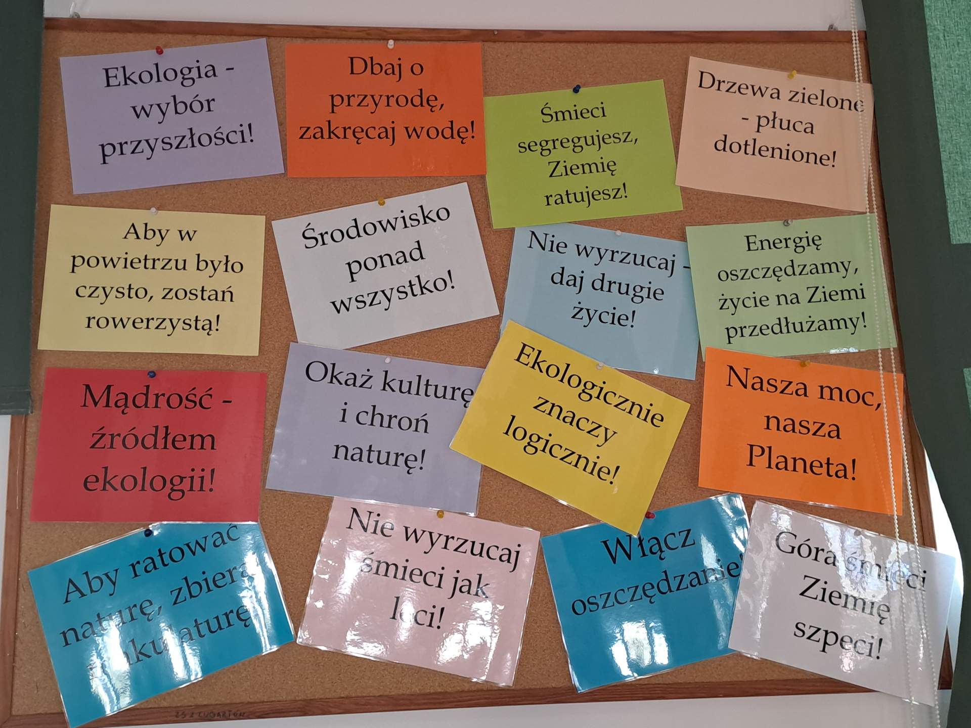 Razem dla Ziemi