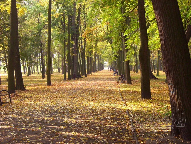 Jesień