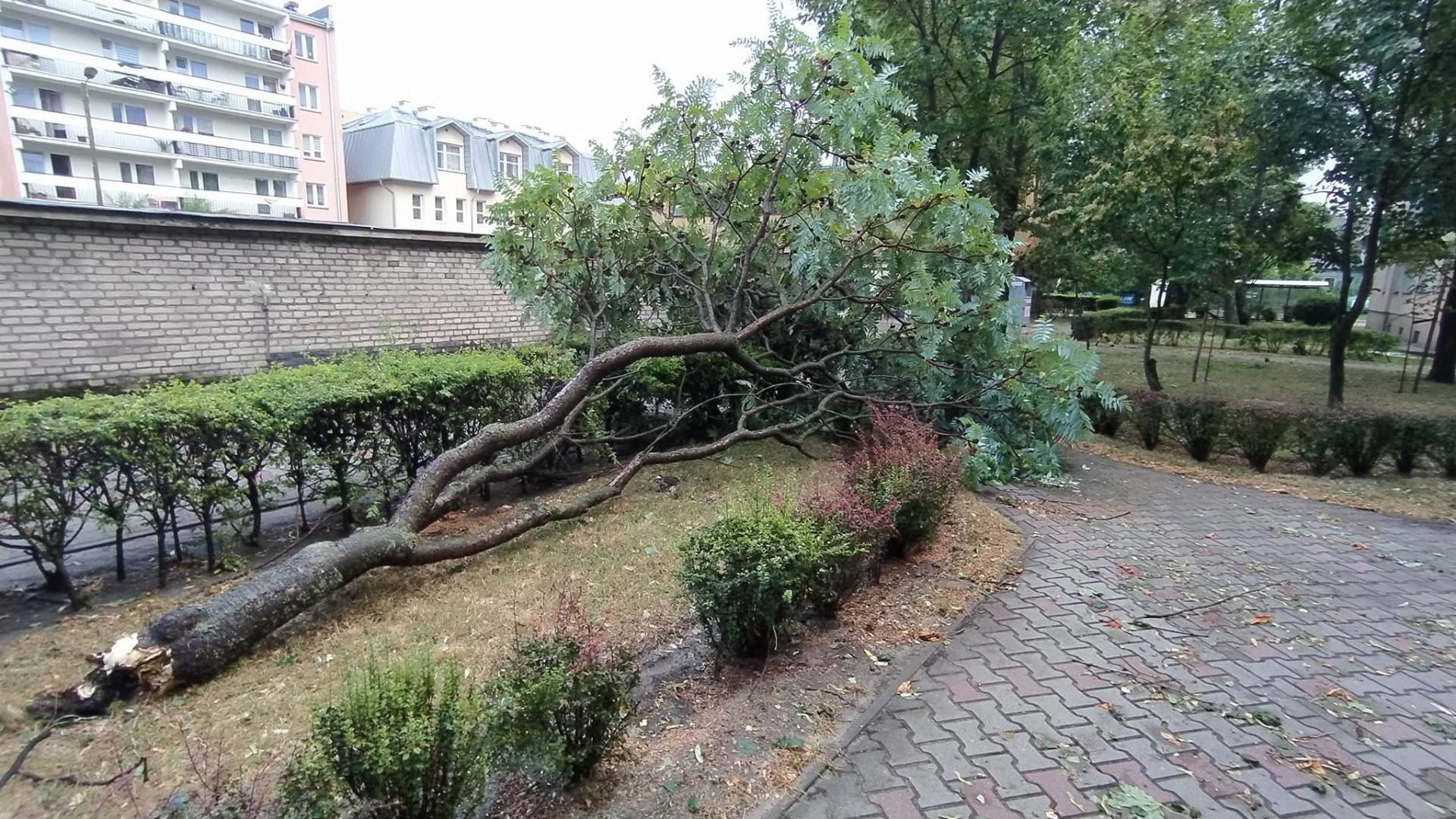 Nawałnica przeszła nad Lubartowem