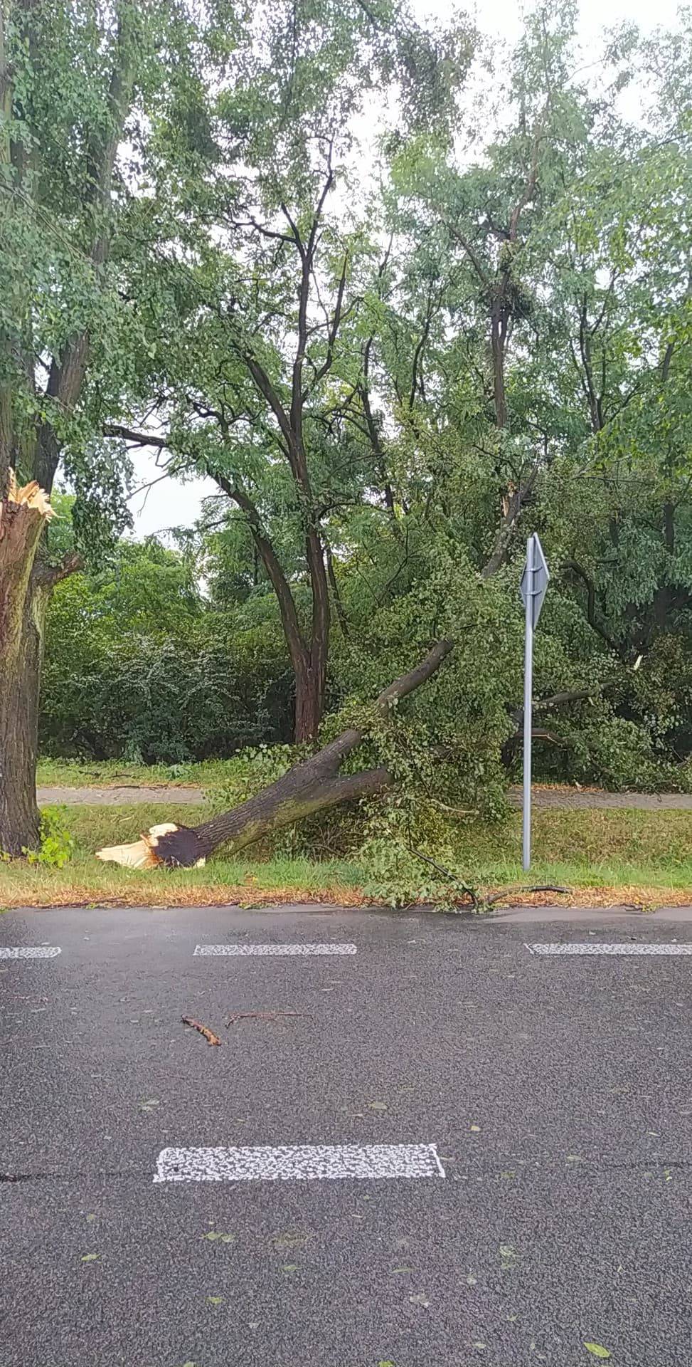 Nawałnica przeszła nad Lubartowem