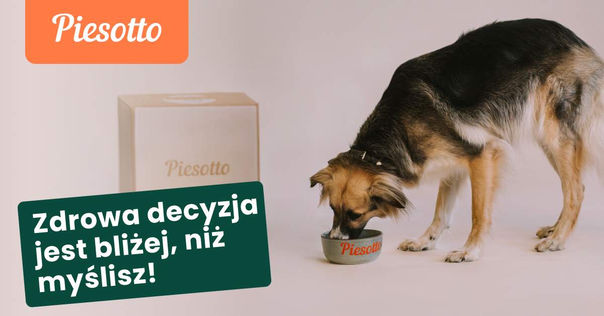 piesotto.pl