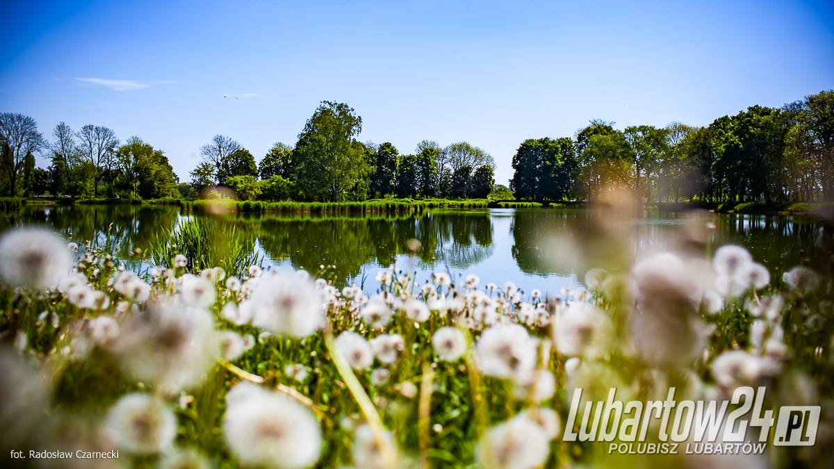 Park Miejski w Lubartowie