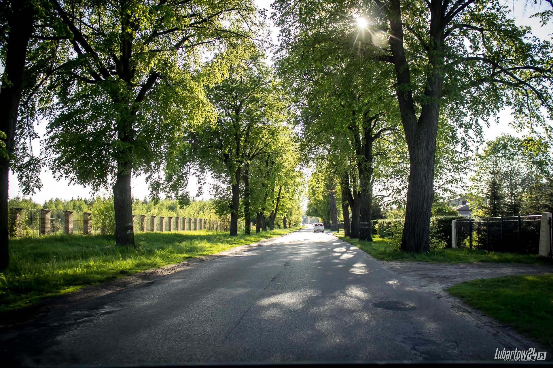 Lubartów