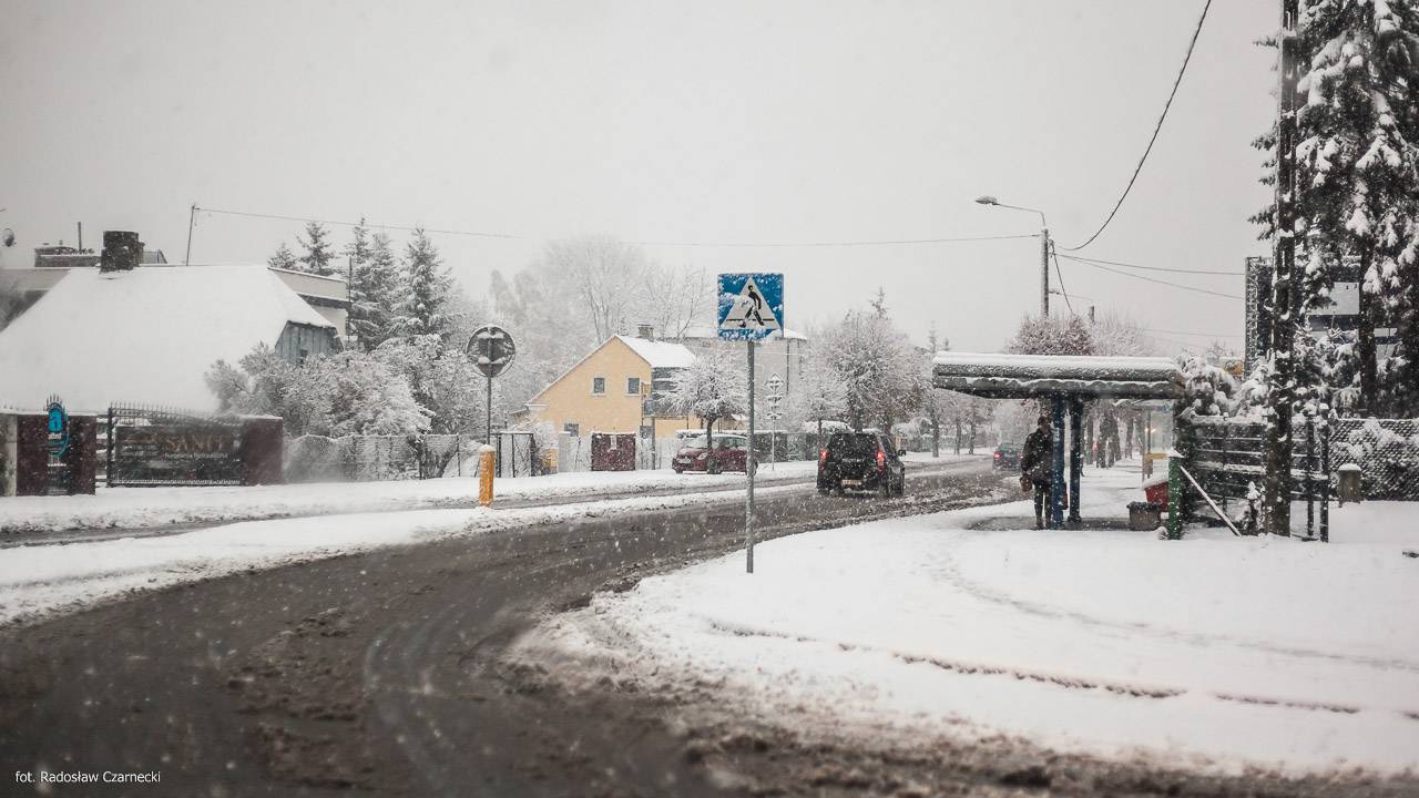 Lubartów