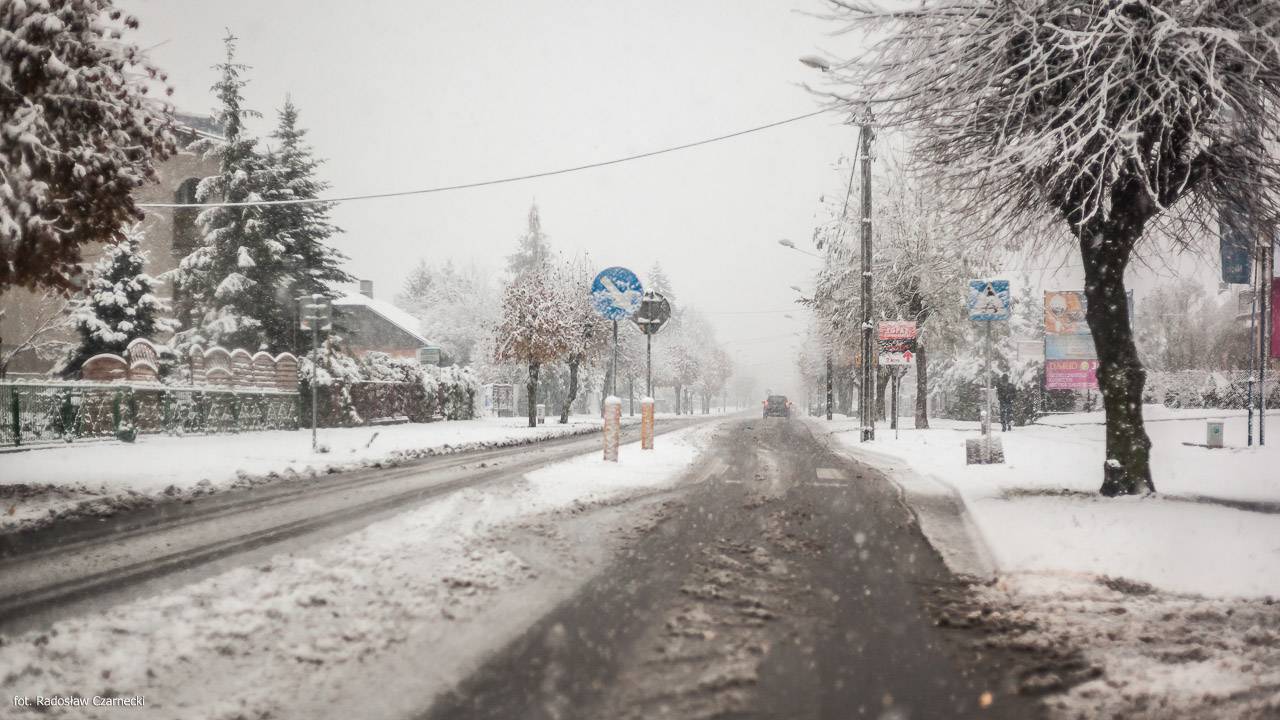 Lubartów
