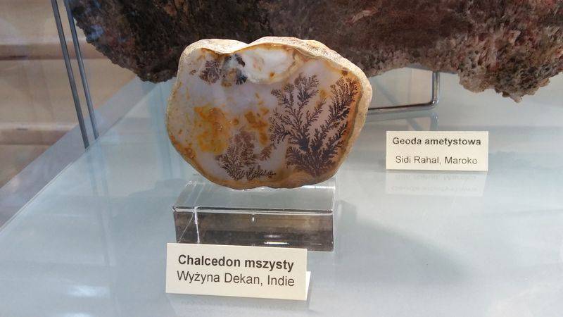 Licealiści na wystawie