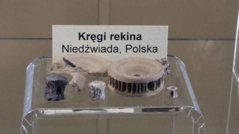 Licealiści na wystawie