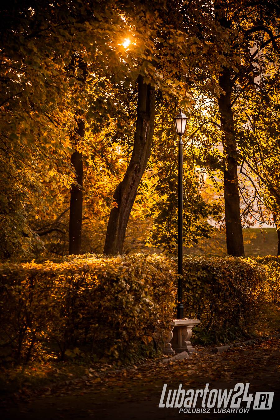 Park w Lubartowie