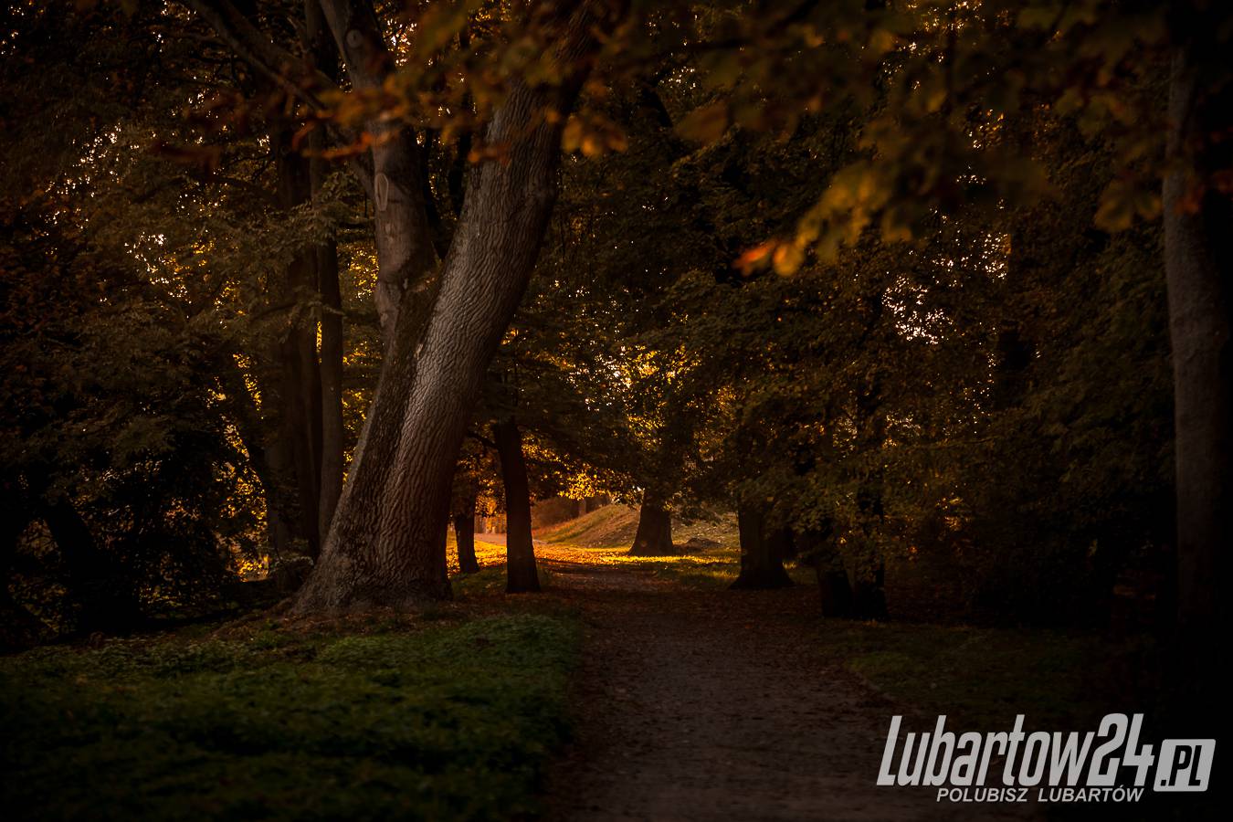 Park w Lubartowie