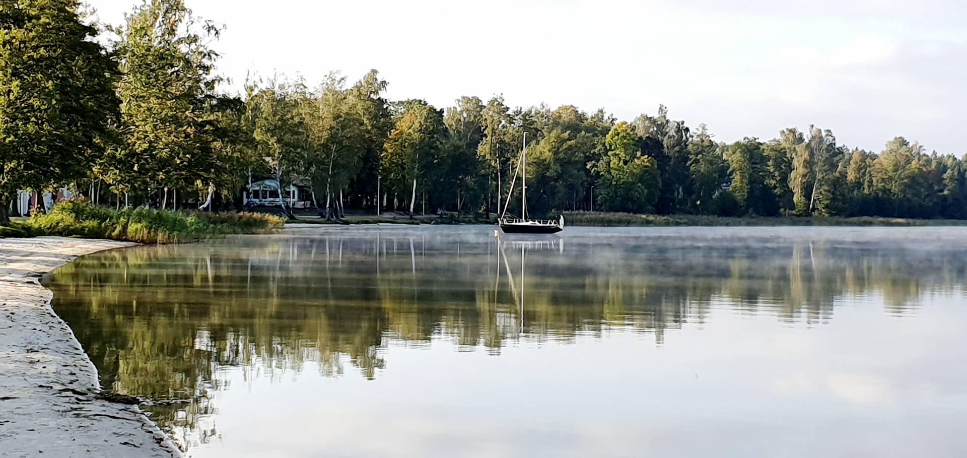 Firlej2019