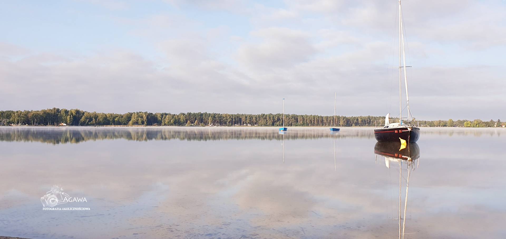 Firlej2019