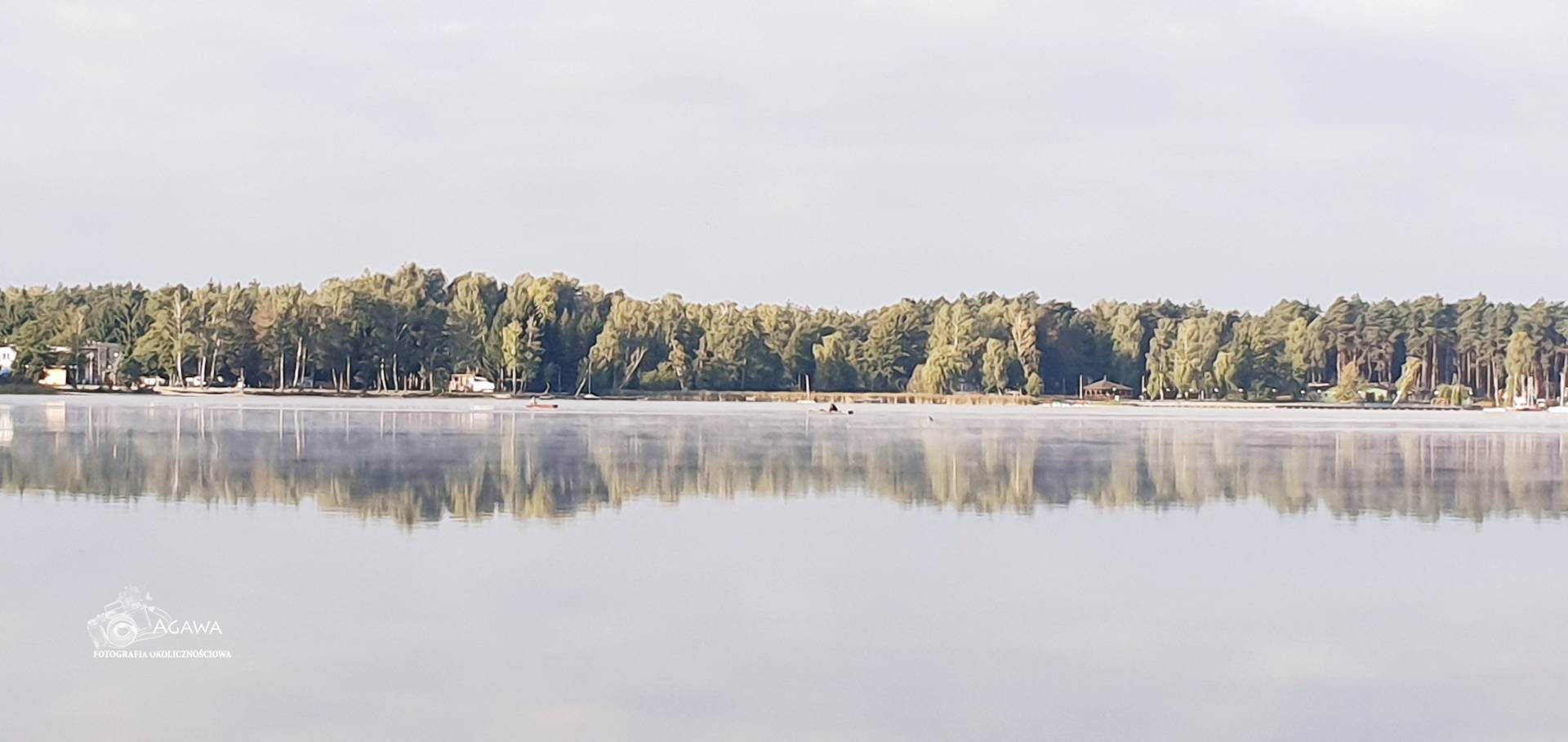 Firlej2019