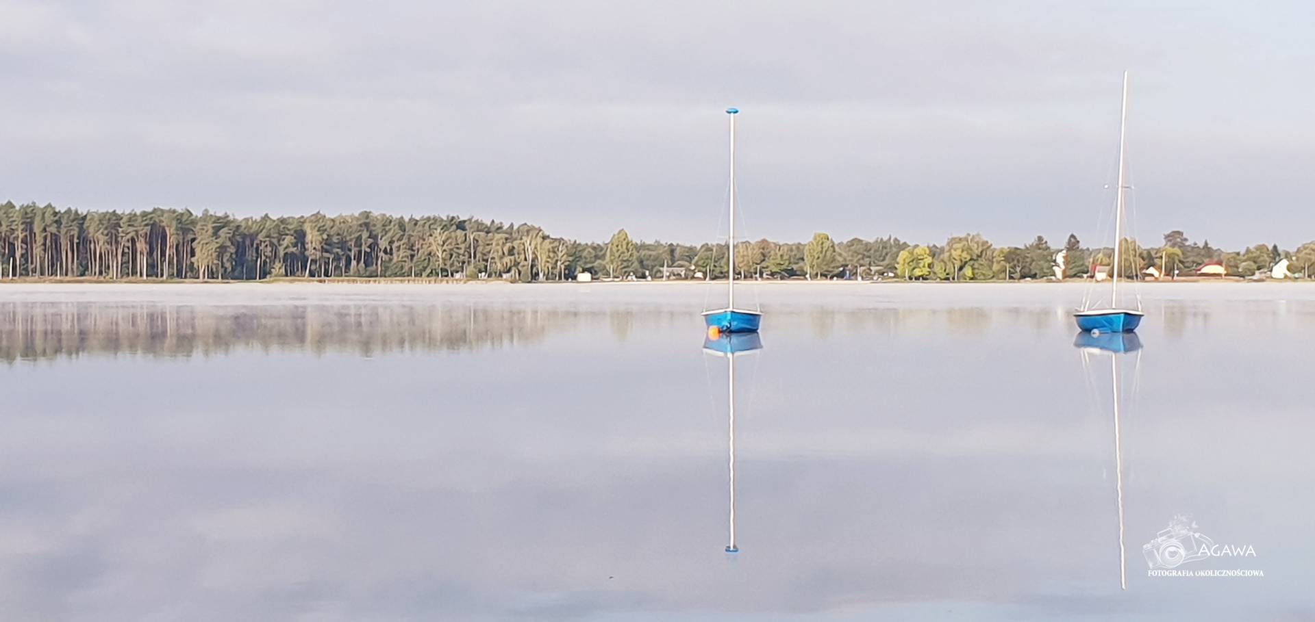 Firlej2019