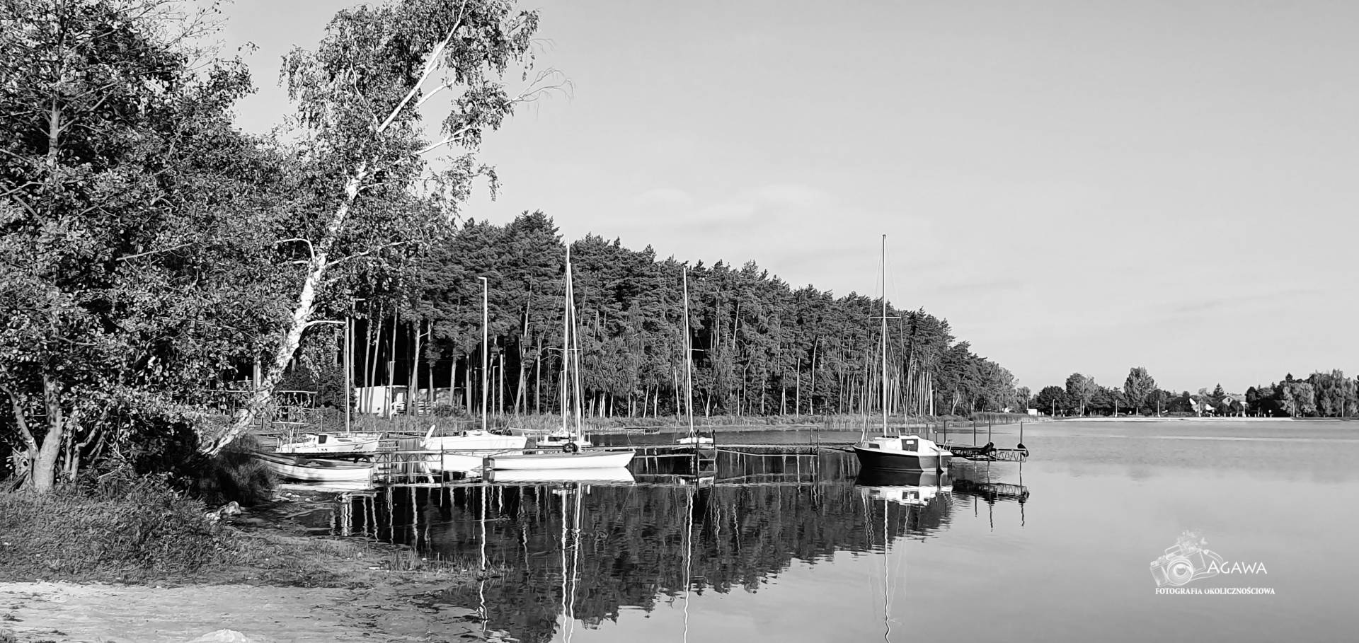 Firlej2019