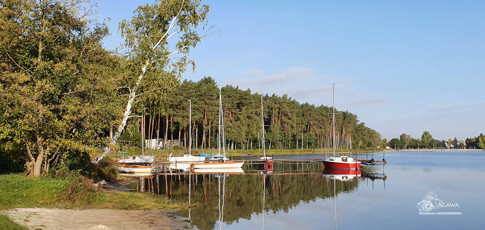 Firlej2019