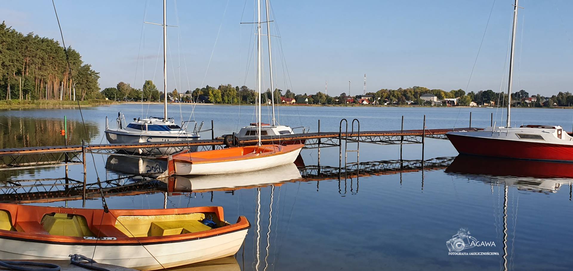 Firlej2019