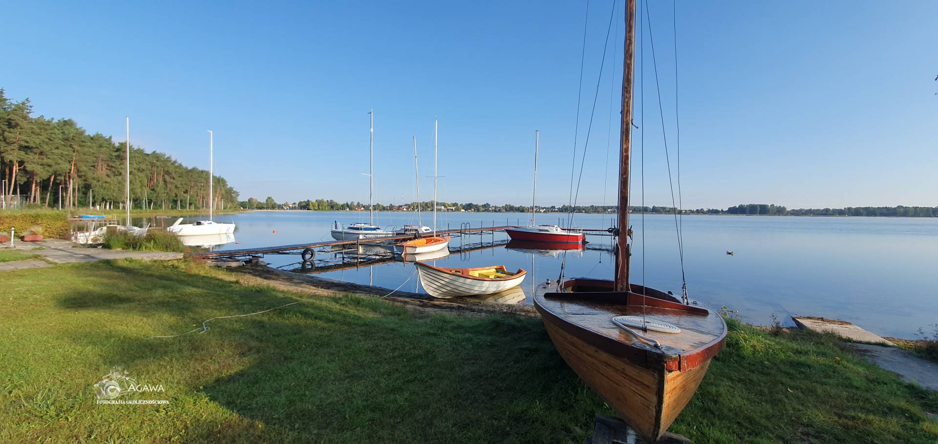 Firlej2019