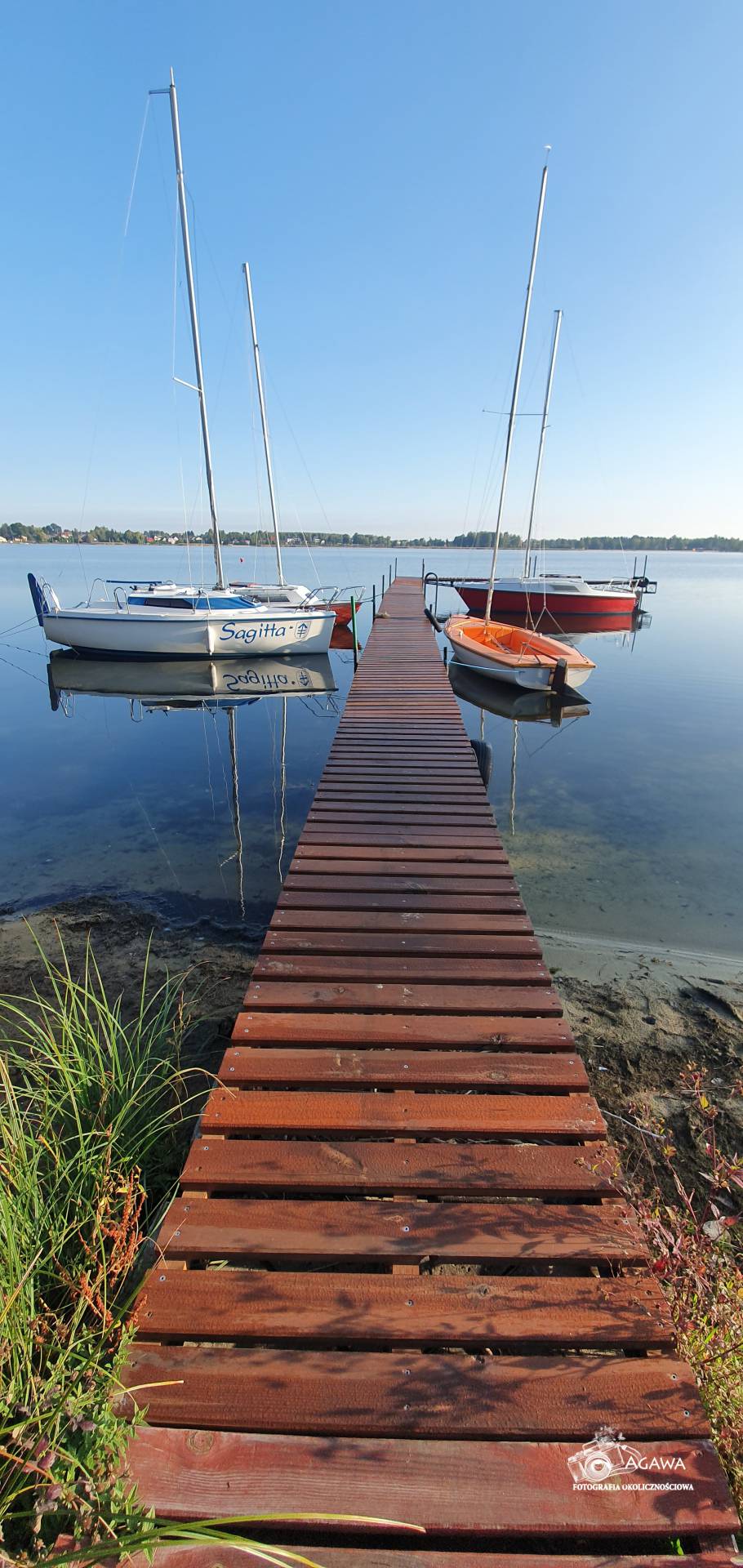 Firlej2019