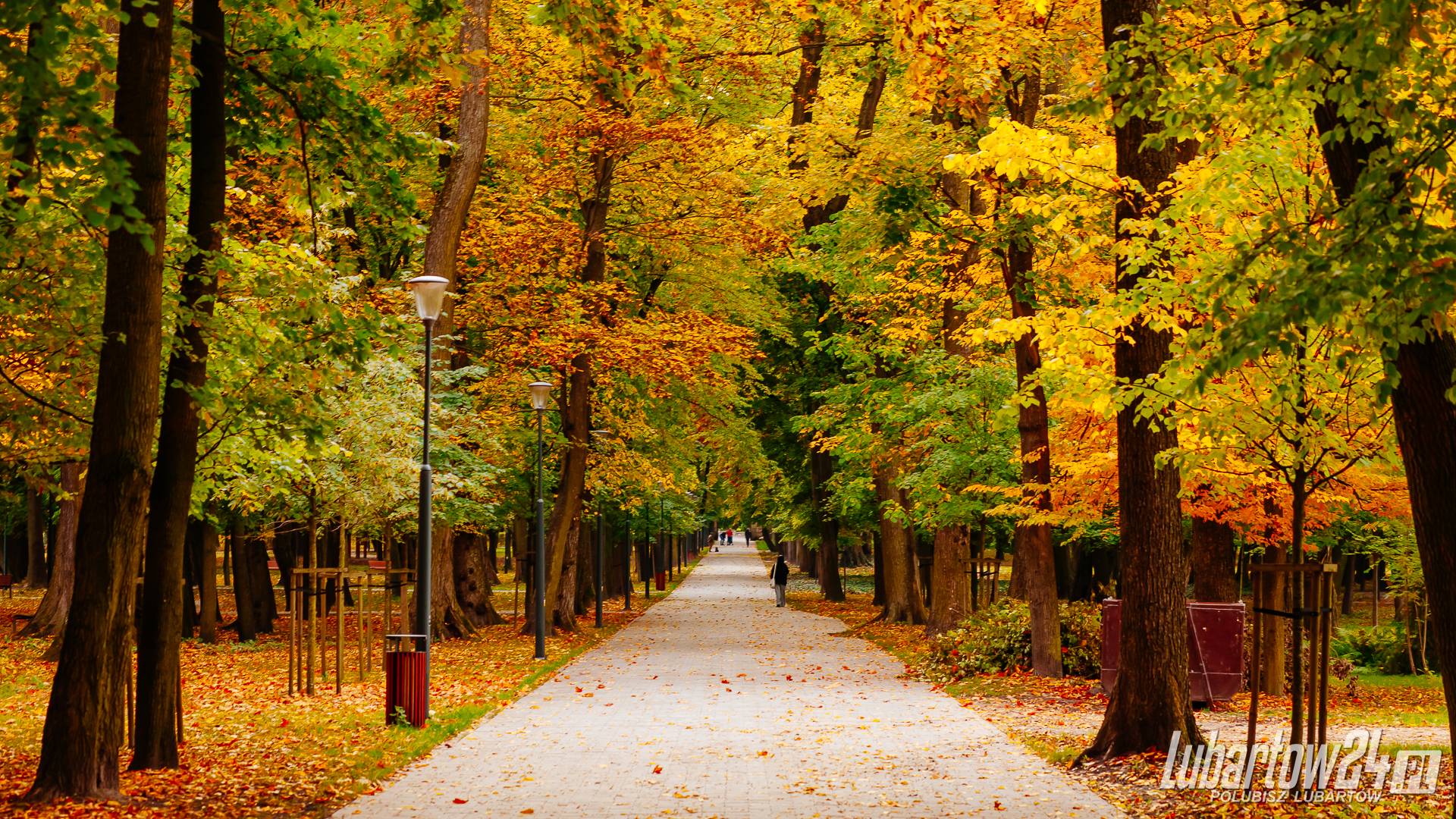 Park