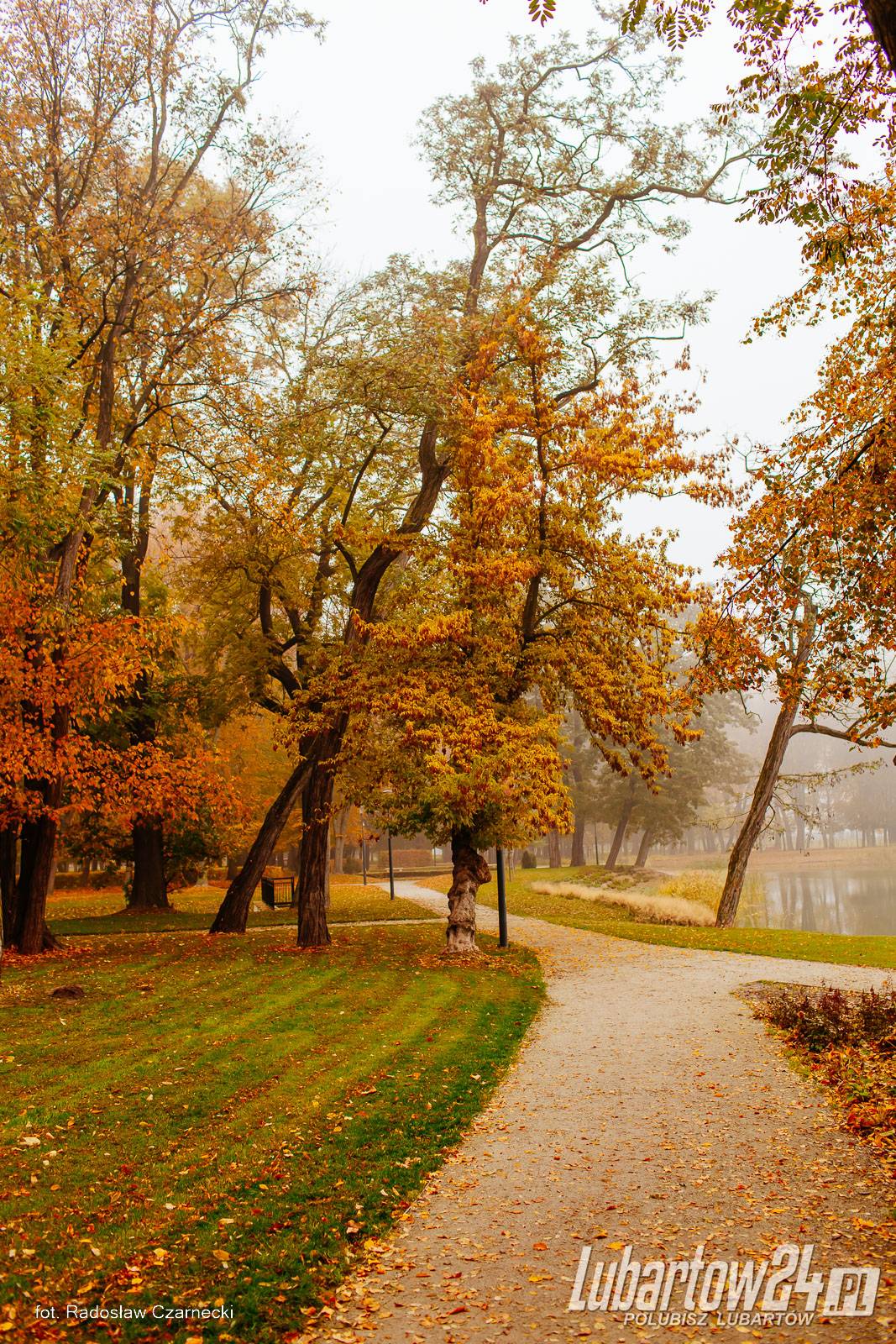 Jesień w lubartowskim parku