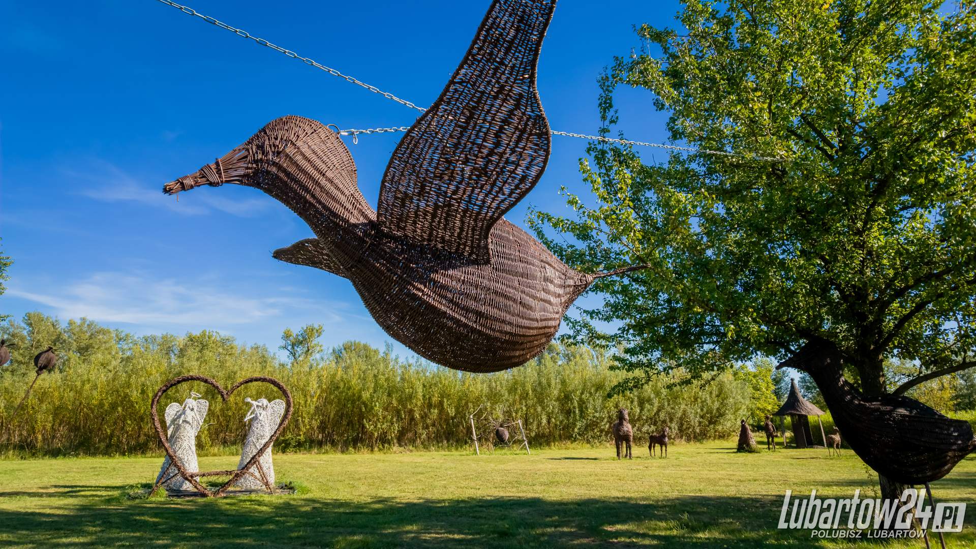 Park rozrywki Wyspy