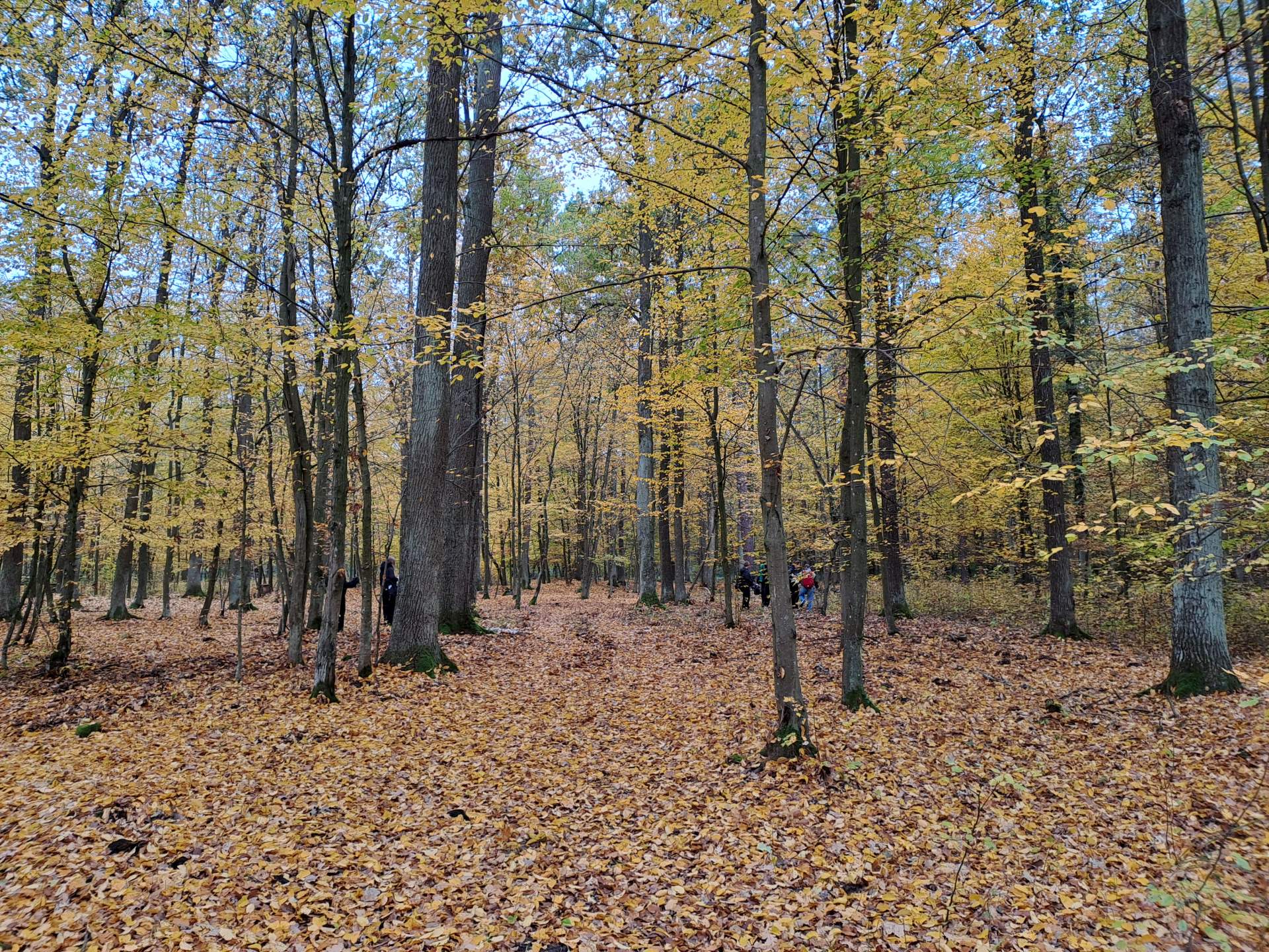 Odśmiecanie krajobrazu