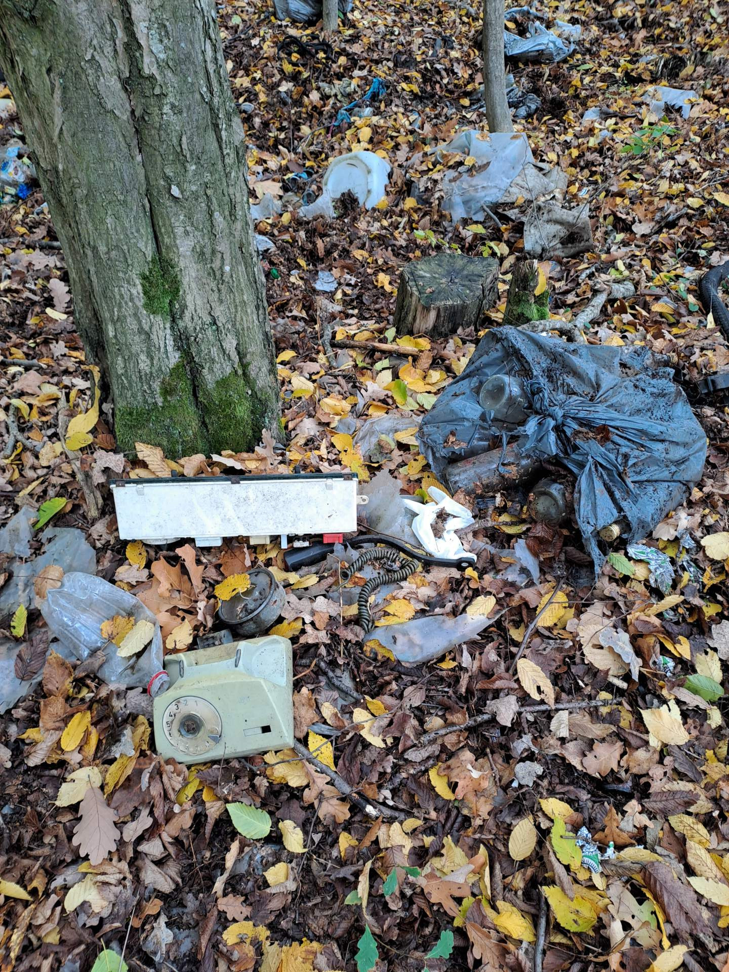 Odśmiecanie krajobrazu