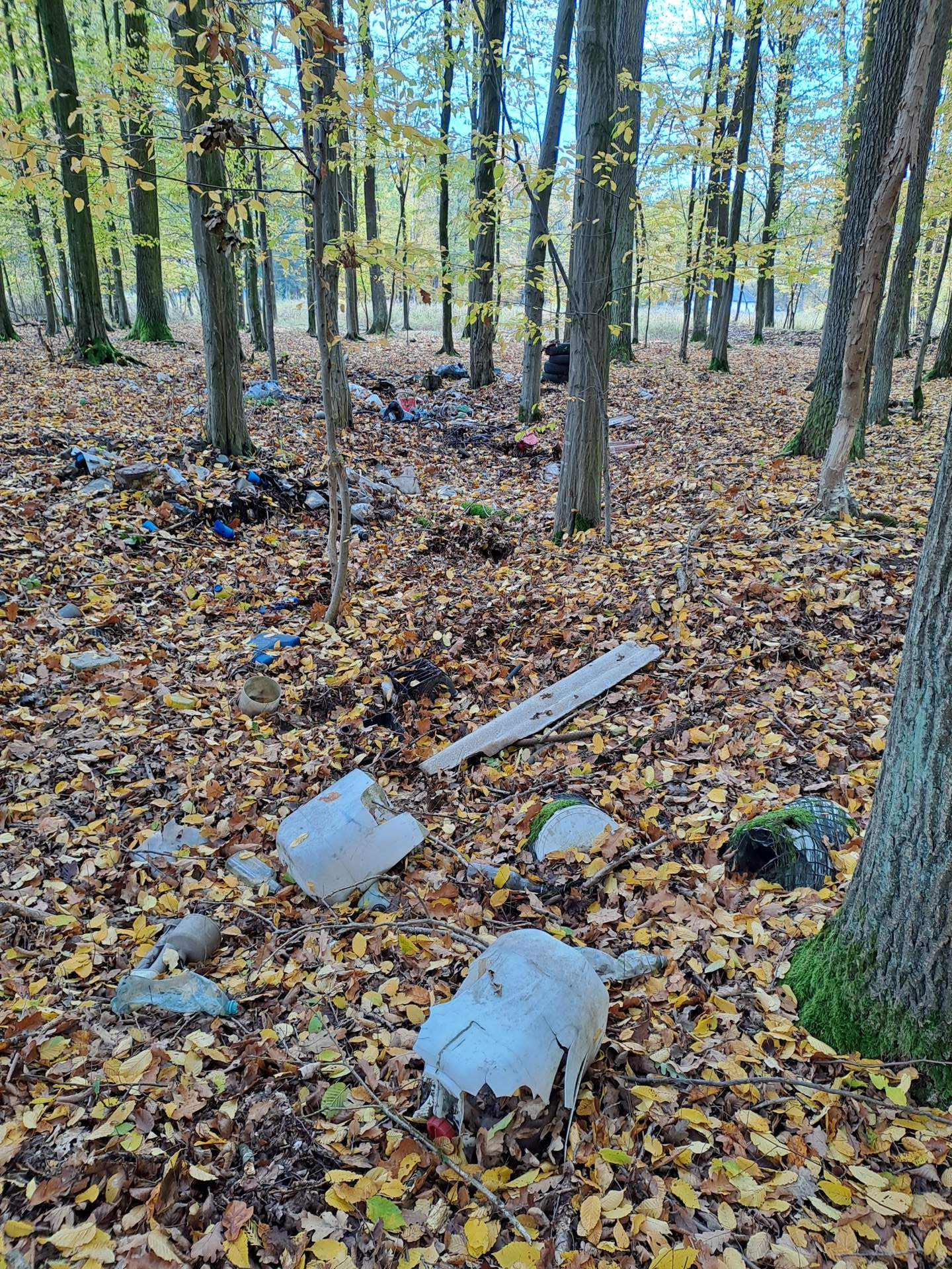 Odśmiecanie krajobrazu