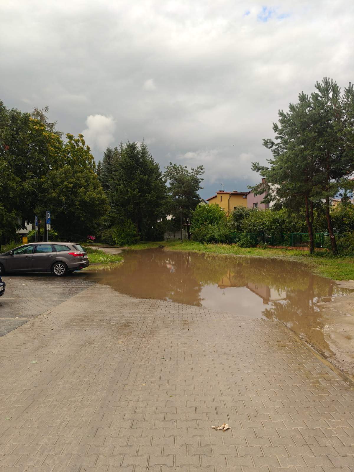 24.07.2026