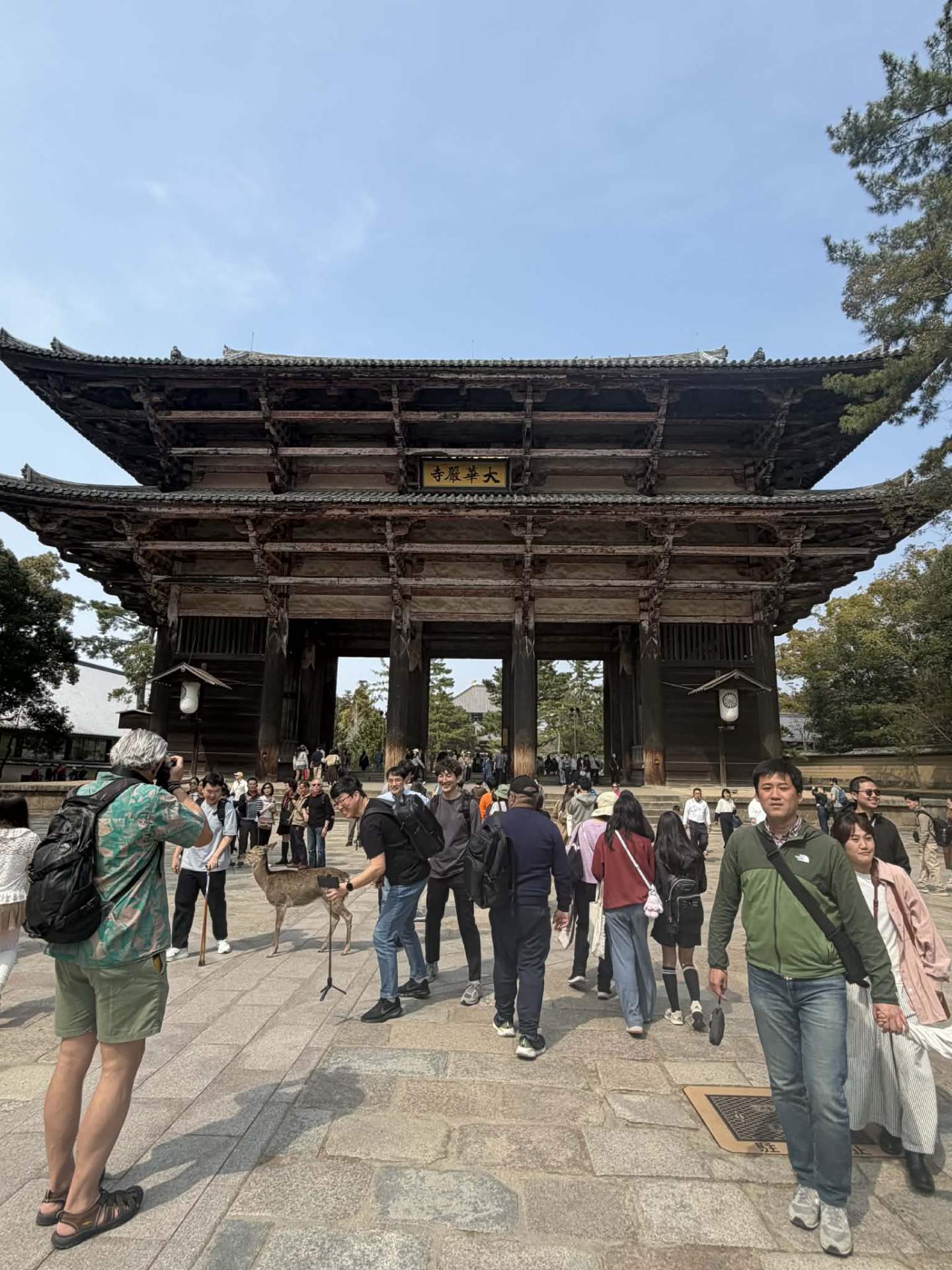 JAPONIA
