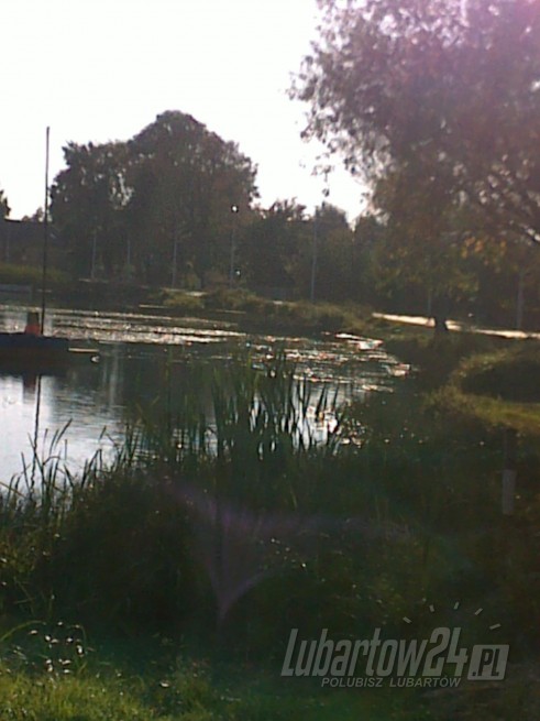 Firlej