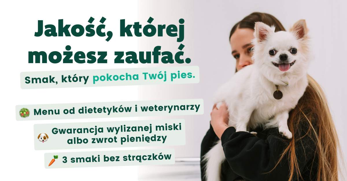 piesotto.pl