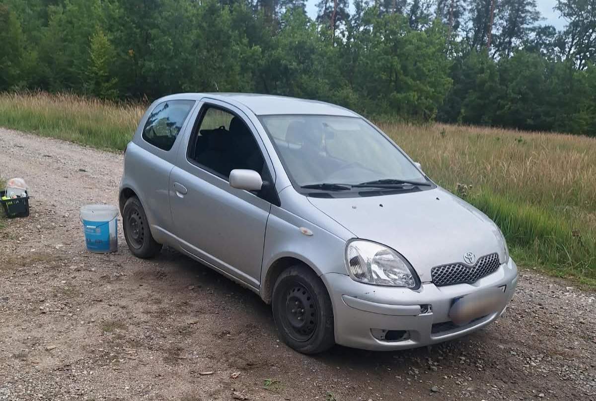 auto
