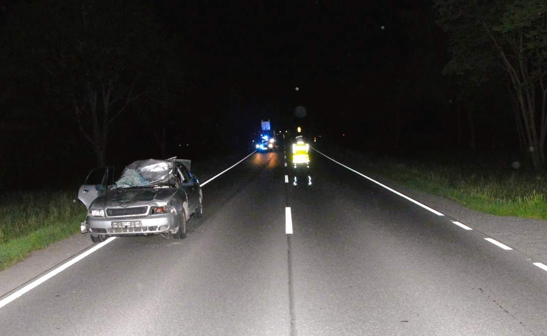 Zderzenie z łosiem, dwie osoby trafiło do szpitala