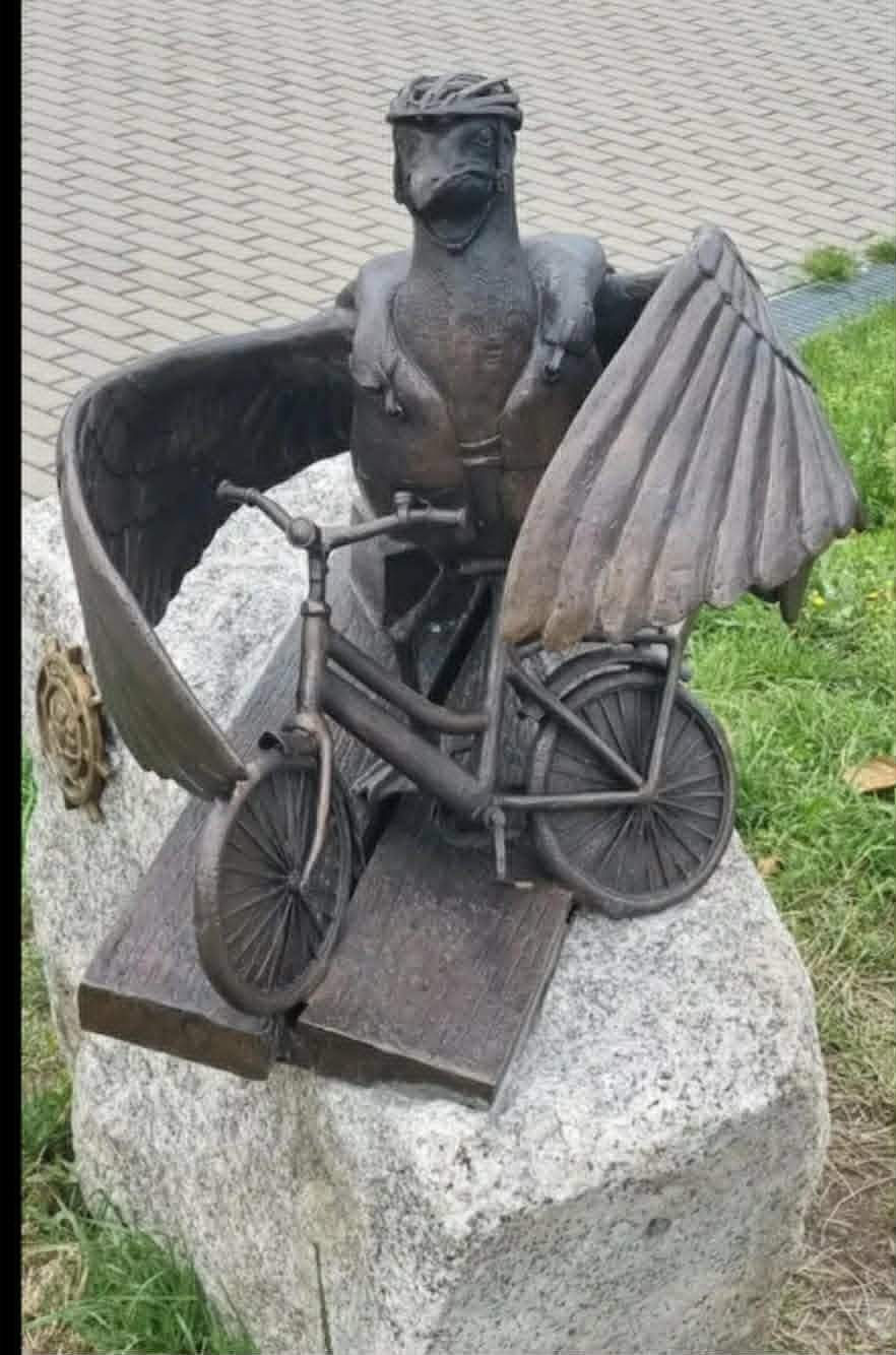 Nadmorska przygoda