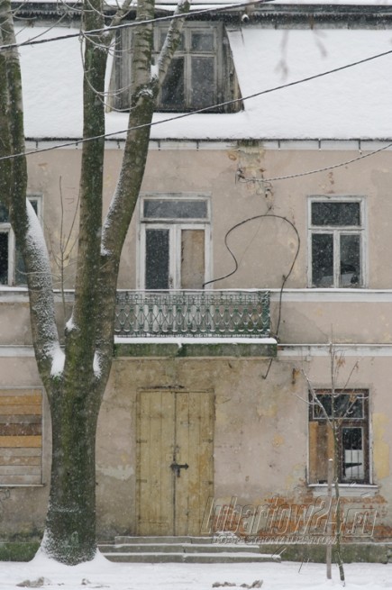 zima 2010