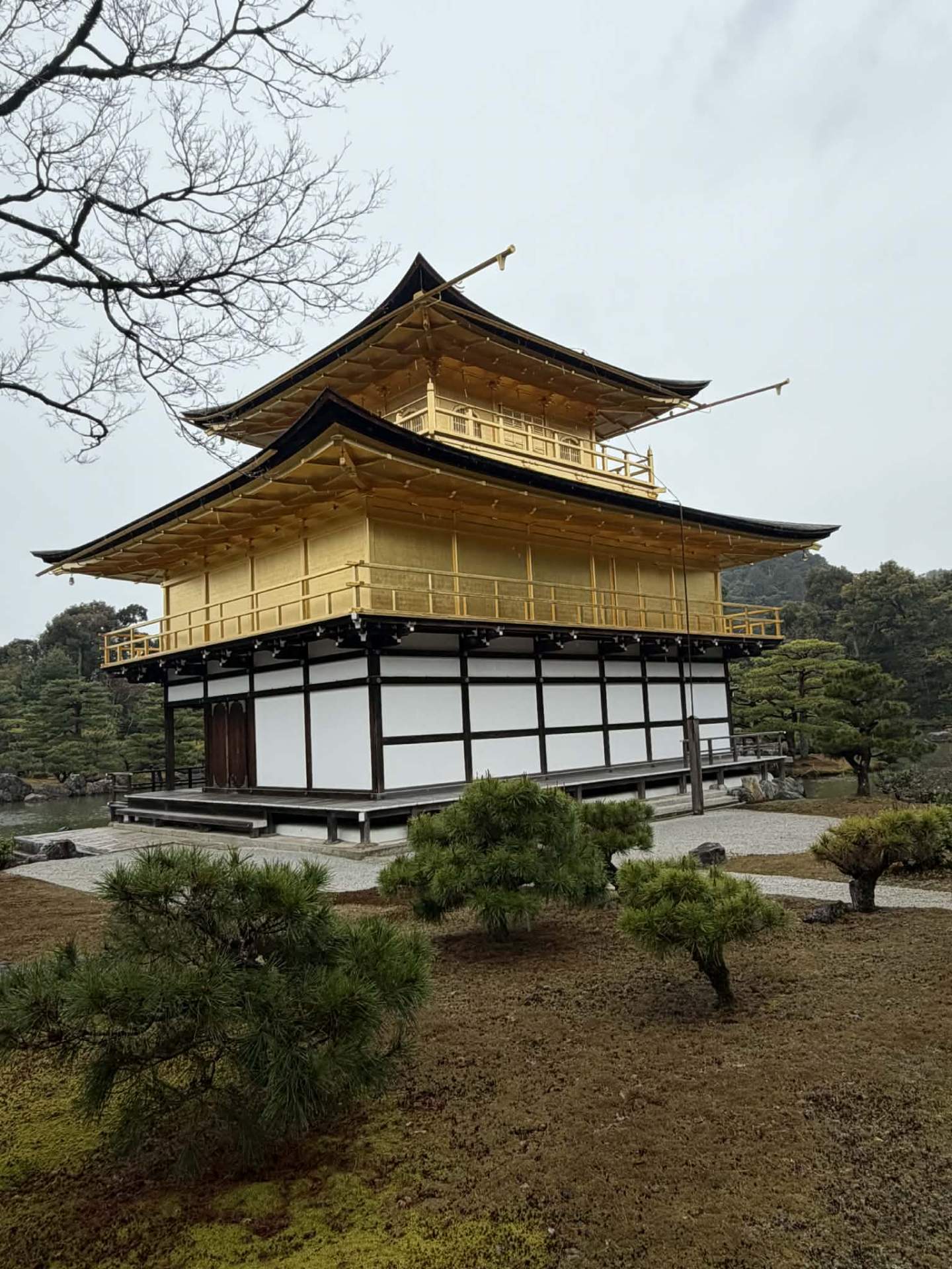 JAPONIA