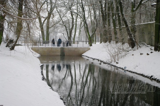 zima 2010