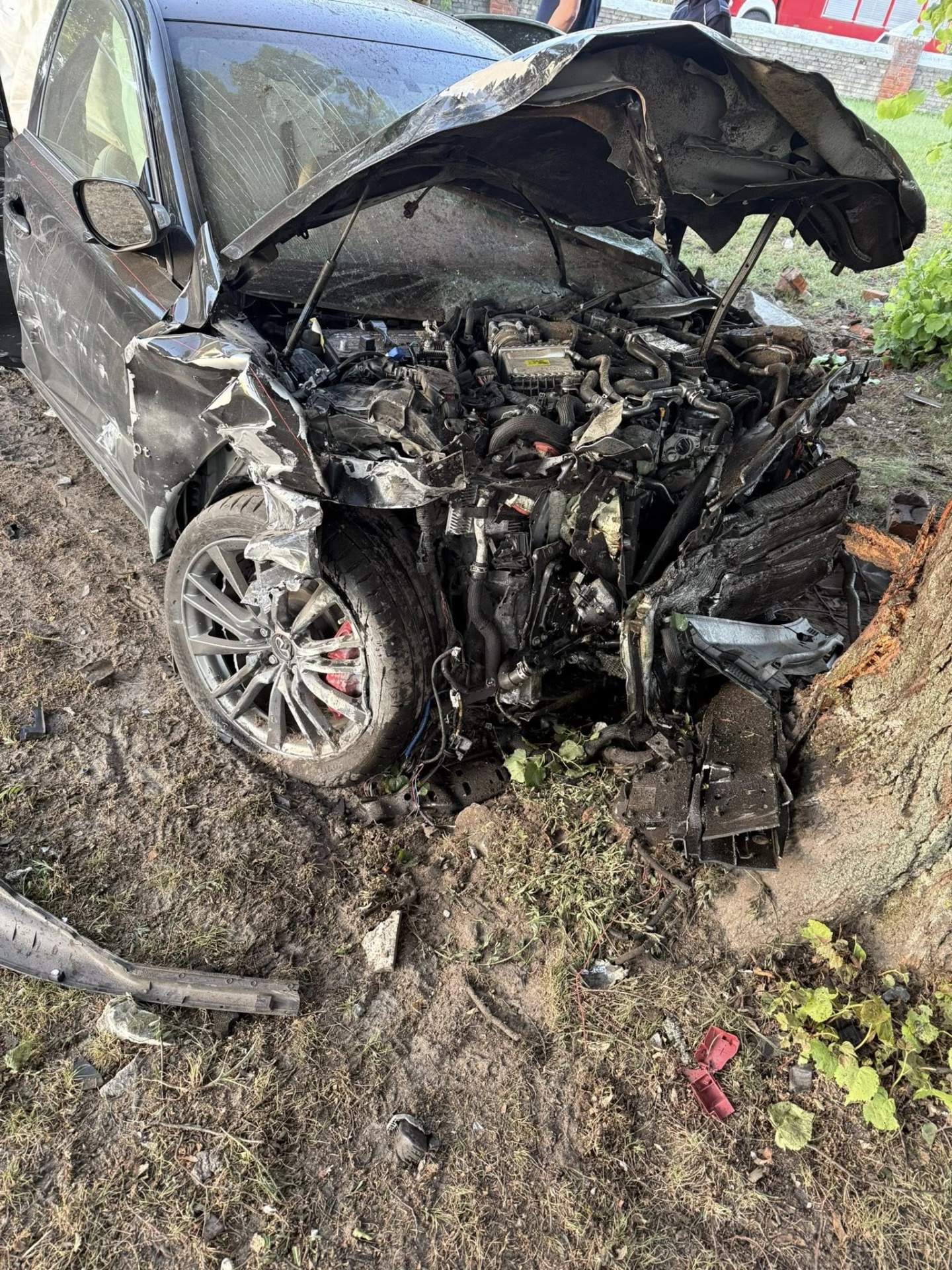Auto uderzyło w drzewo