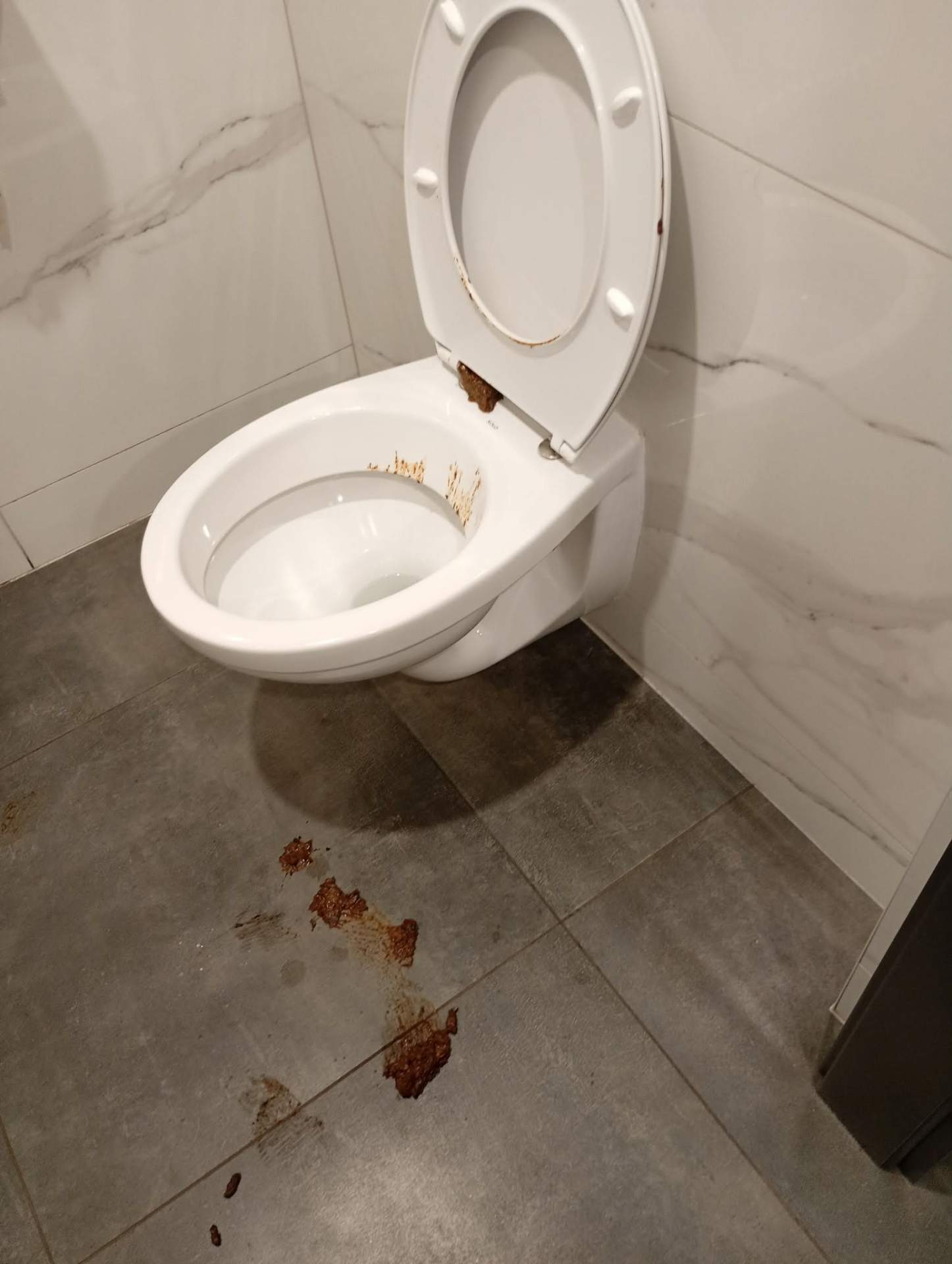 ubrudzona toaleta