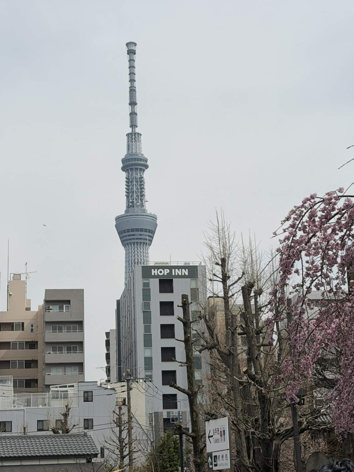 JAPONIA