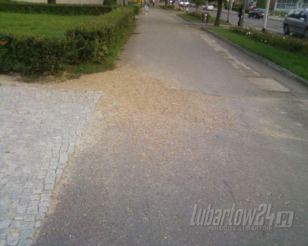 Lubartów