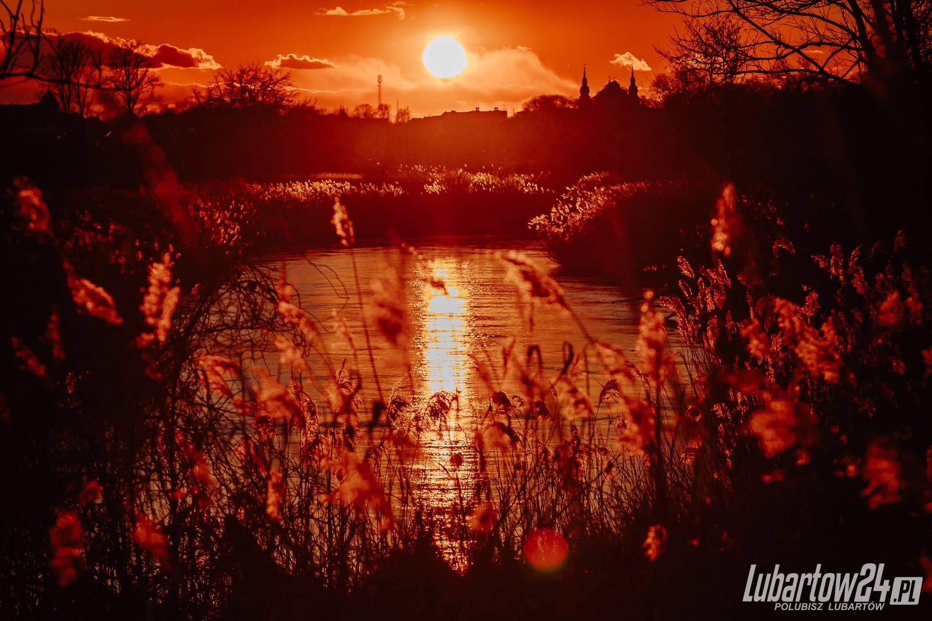 Lubartów