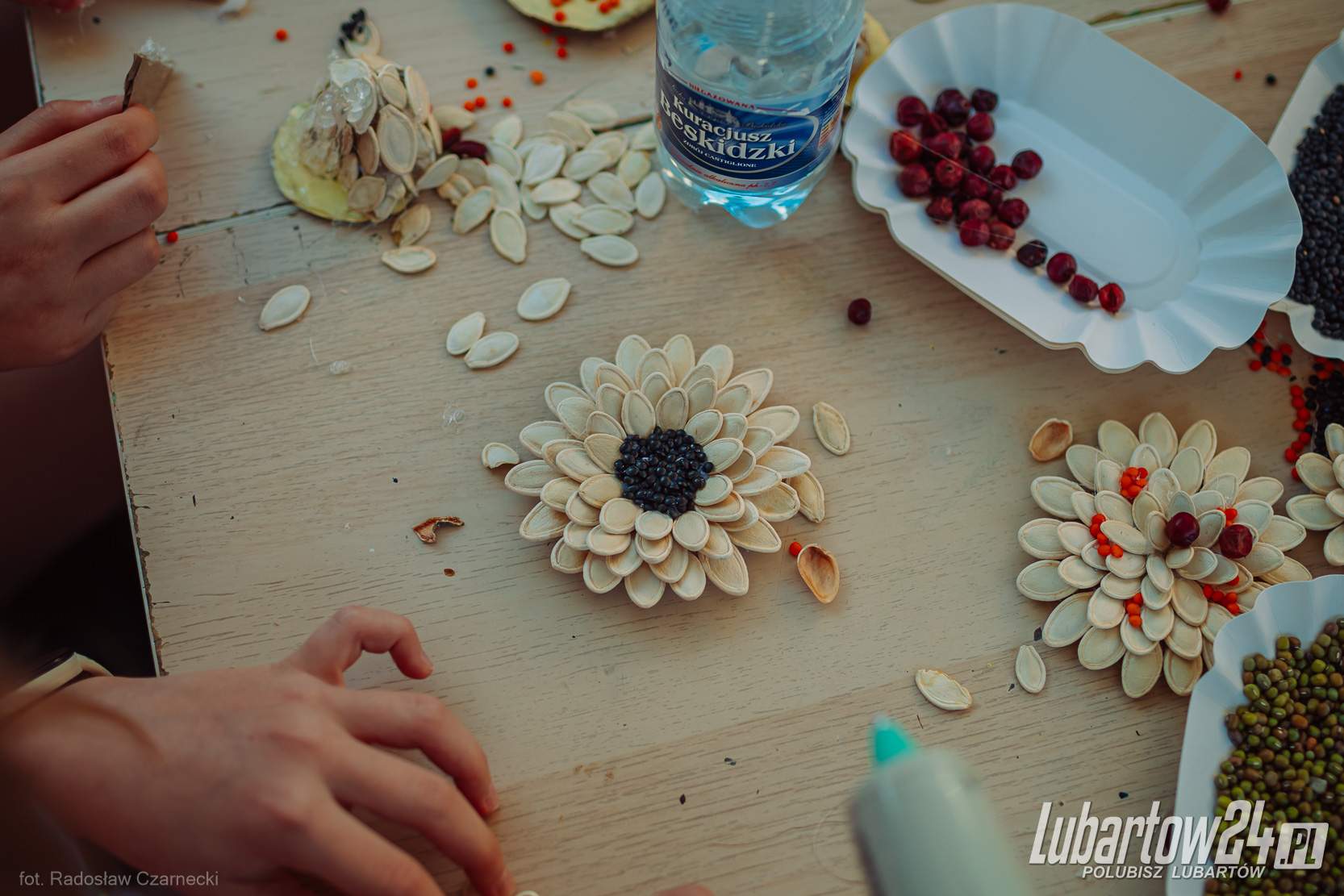 Zlot Anek w Lubartowie