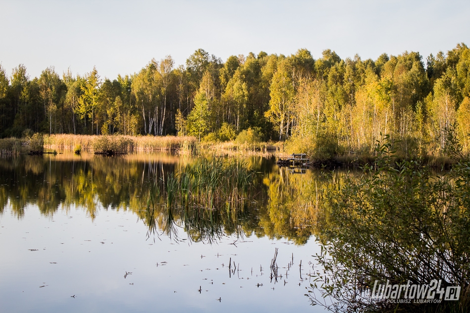 Białe Wrony
