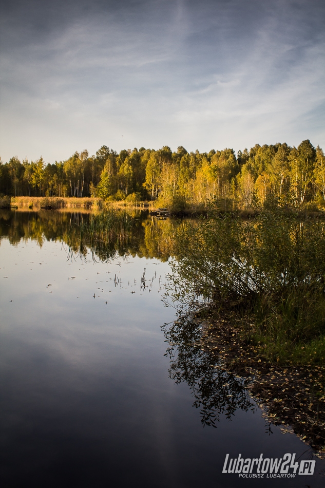 Białe Wrony