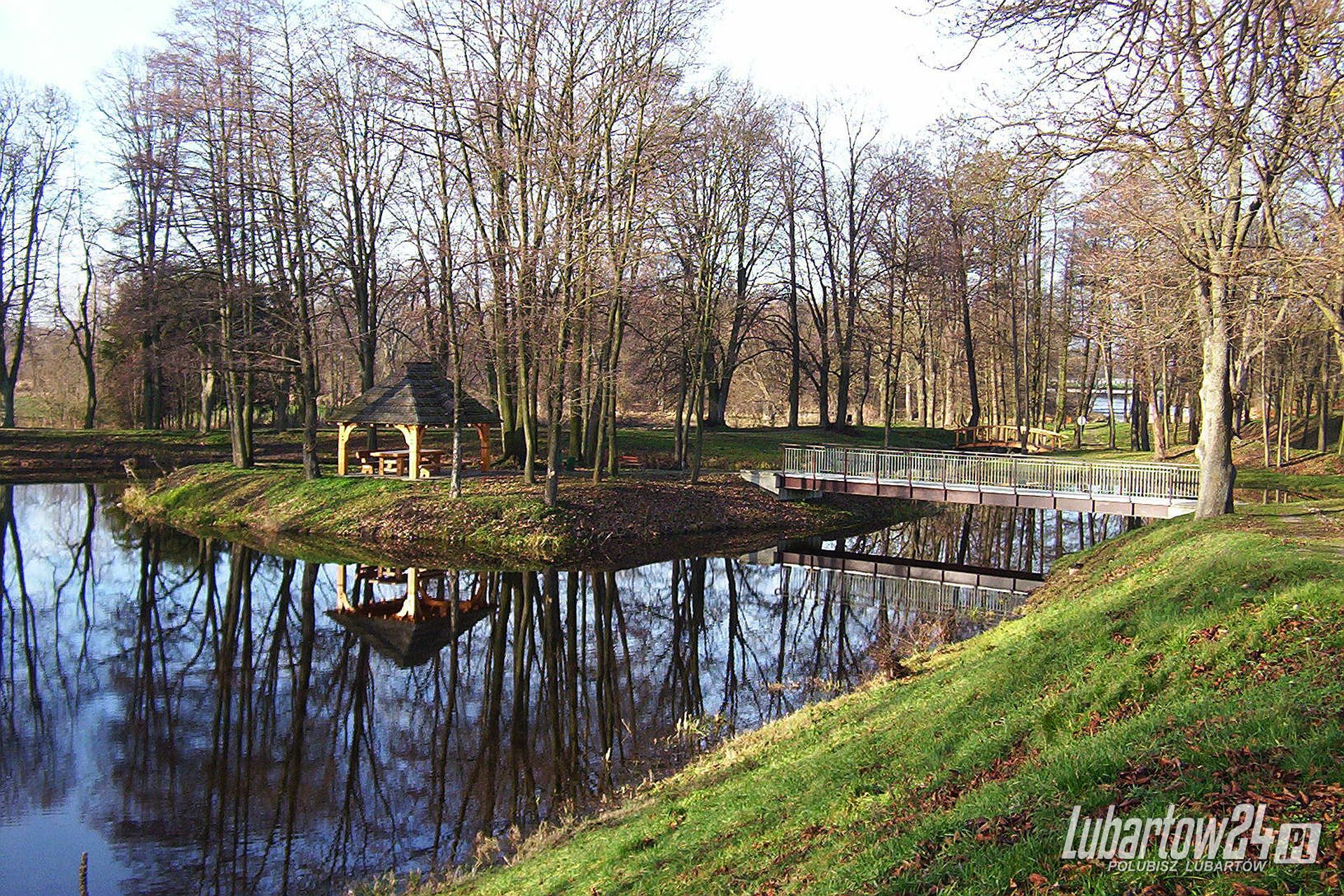 Staw w centrum
