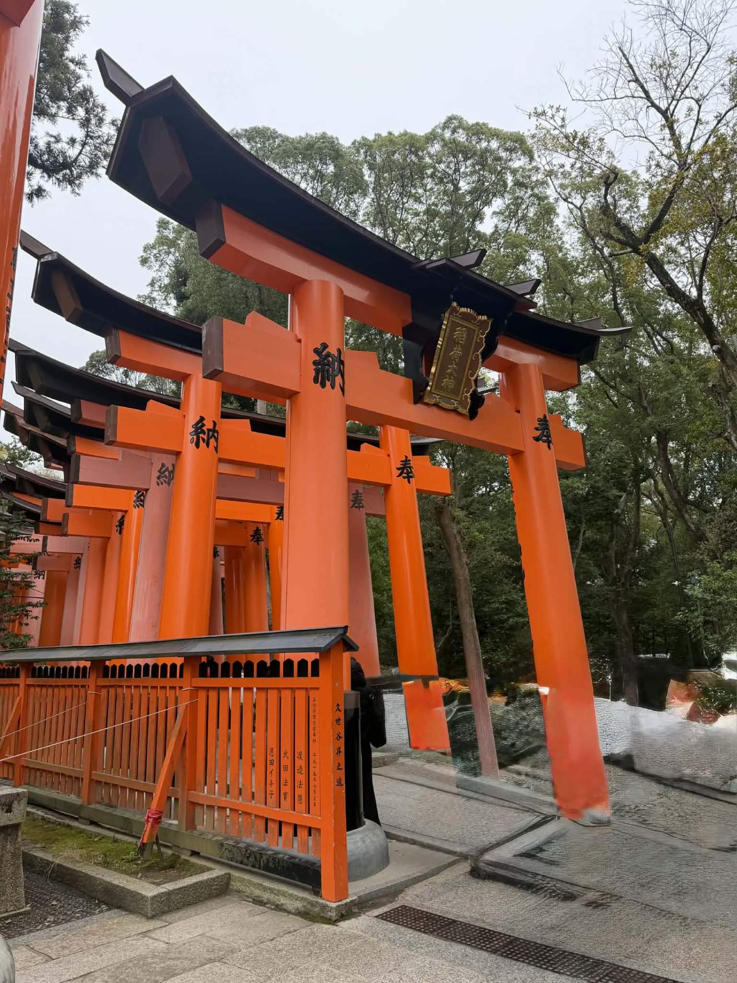 JAPONIA