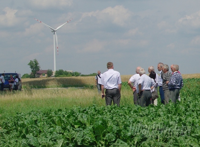 Wyjazd na farmę wiatrową do Dobrzynia nad Wisłą